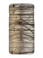 Design 313221