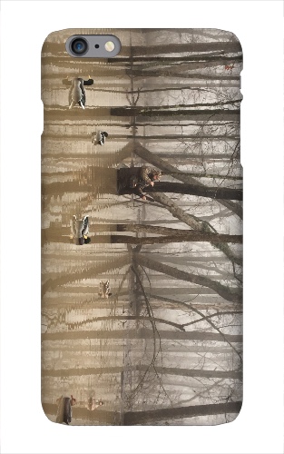 Design 313221