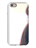Design 398641