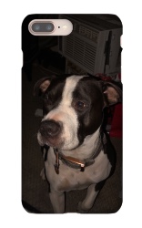 Design 474390  Image