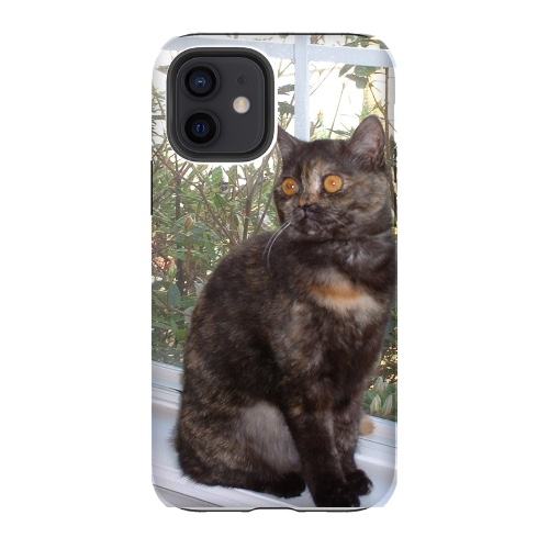 Design 669683