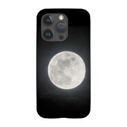 Design 687300  Image