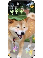 art pup