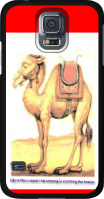 life is a camel ride