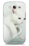 Design 7891  Image
