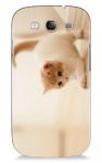 Design 7901  Image