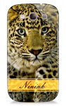leopard  Image