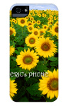 Design 16732