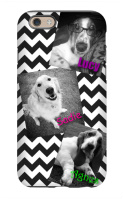 dog case  Image