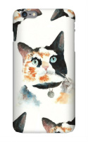 Design 244173  Image