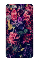 Design 247594