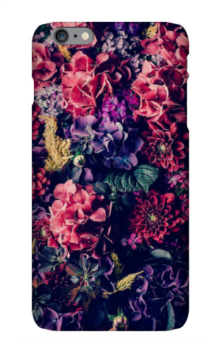Design 247594