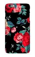 Design 247964