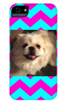 buster case