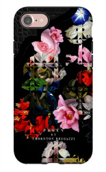 Black-lace-flower-1138×1831