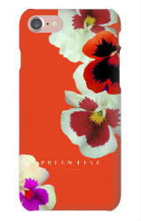 Design 326929